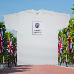 FIRST CLASS PARASITE T-SHIRT