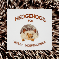 HEDGEHOGS ORGANIC JUMPER