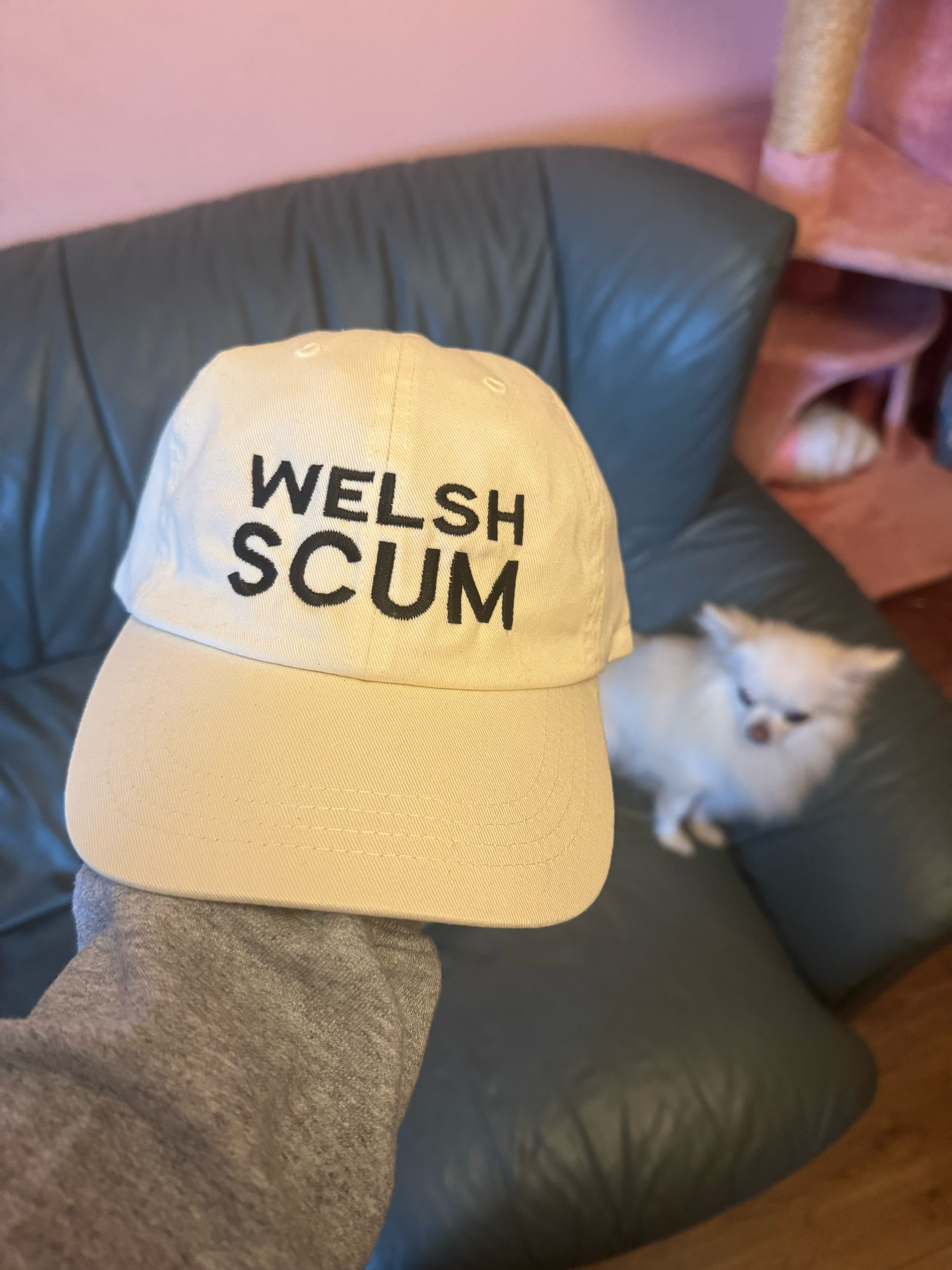 HET WELSH SCUM