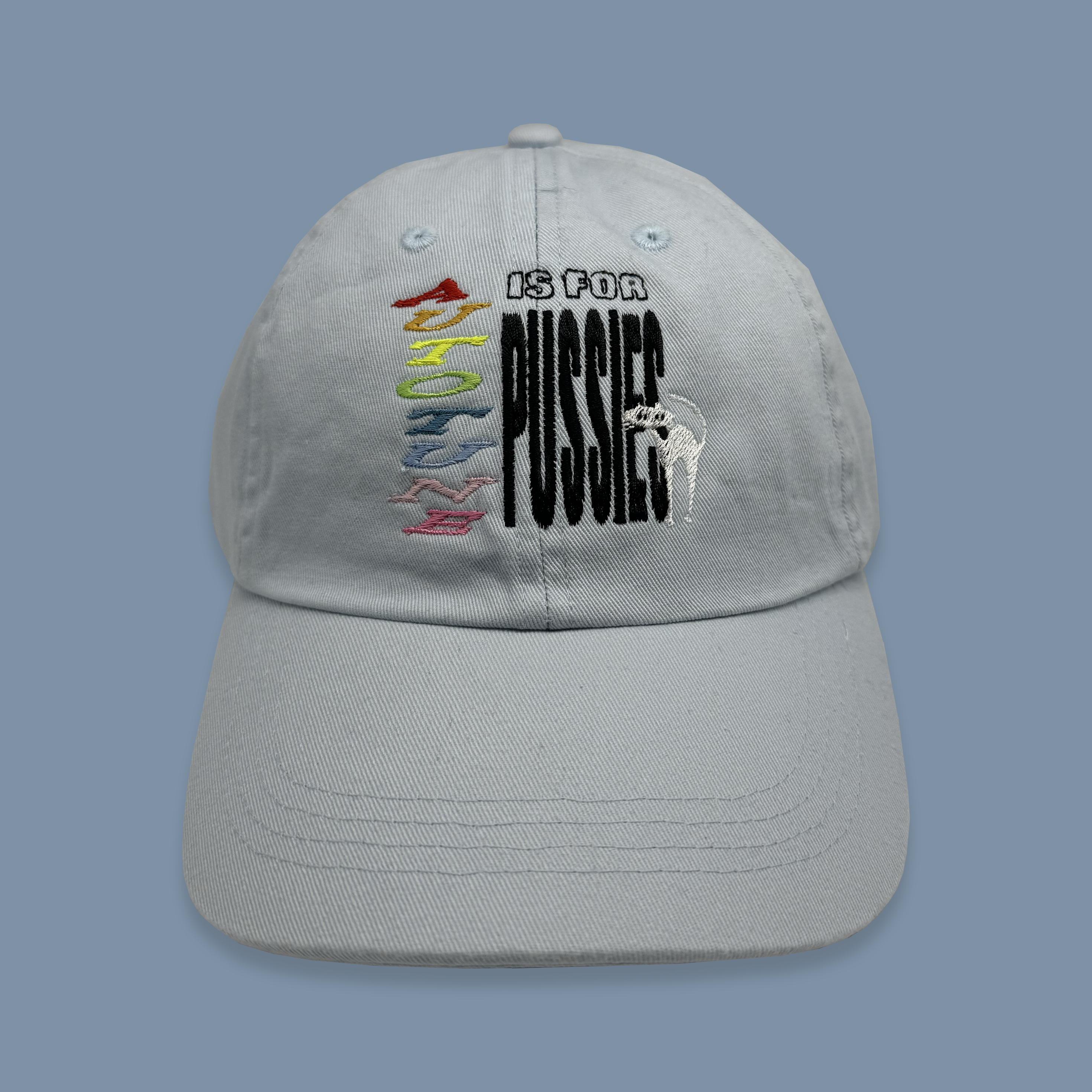 AUTOTUNE IS FOR PUSSIES CAP