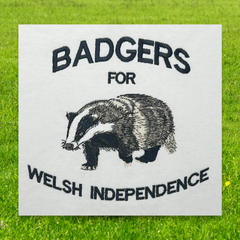 BADGER T-SHIRT