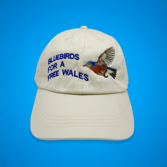 BLUEBIRDS CAP