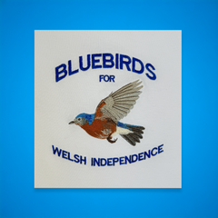BLUEBIRDS ORGANIC JUMPER