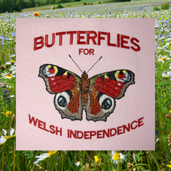 BUTTERFLY ORGANIC JUMPER