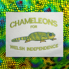 CHAMELEON ORGANIC JUMPER