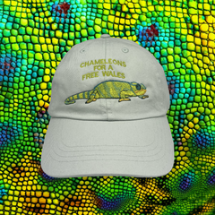 CHAMELEON CAP