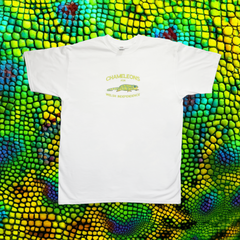 CHAMELEONS T-SHIRT