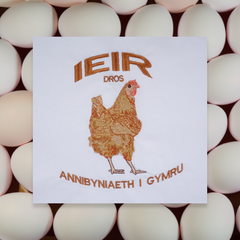 CHICKEN ORGANIC JUMPER