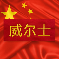 'WALES' IN MANDARIN CHINESE T-SHIRT