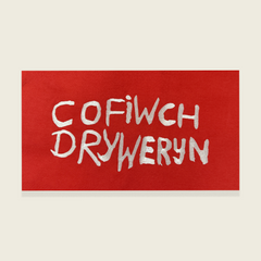 CRYS-T COFIWCH DRYWERYN
