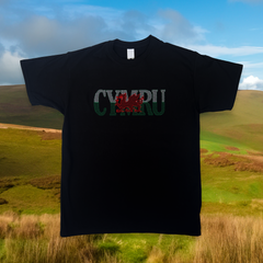 CYMRU T-SHIRT