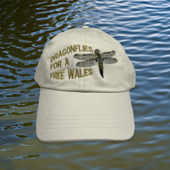 DRAGONFLY CAP
