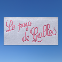 LE PAYS DE GALLES T-SHIRT