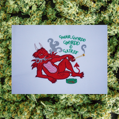 CRYS-T GWAIR GWYRDD GWYRDD O GATREF