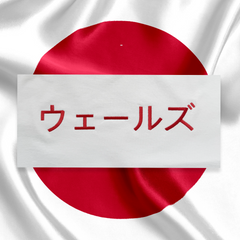 'WALES' IN JAPANESE T-SHIRT