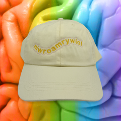 HET NIWROAMRYWIOL