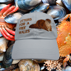 OTTERS CAP