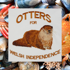 OTTERS ORGANIC JUMPER