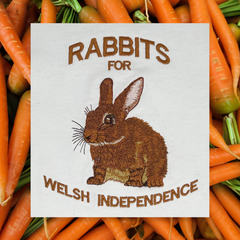 RABBITS ORGANIC JUMPER