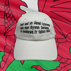 HET DWI OND YN SIARAD CYMRAEG...