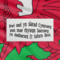 CRYS-T DWI OND YN SIARAD CYMRAEG...