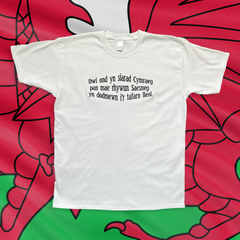 CRYS-T DWI OND YN SIARAD CYMRAEG...
