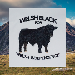 WELSH BLACK ORGANIC JUMPER