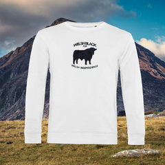 WELSH BLACK ORGANIC JUMPER