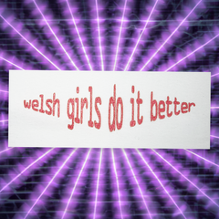 WELSH GIRLS DO IT BETTER T-SHIRT