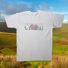 CYMRU T-SHIRT