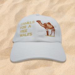 CAMELS FOR WELSH INDEPENDENCE CAP