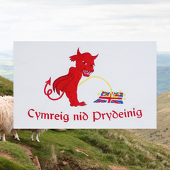 CRYS-T 'CYMREIG NID PRYDEINIG'