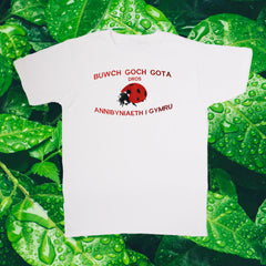 LADYBIRDS FOR WELSH INDEPENDENCE T-SHIRT