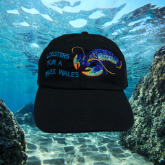 LOBSTERS FOR A FREE WALES CAP