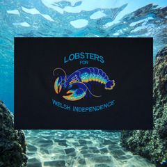 LOBSTERS FOR WELSH INDEPENDENCE ORGANIC JUMPER