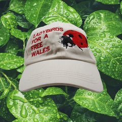 LADYBIRDS FOR A FREE WALES CAP