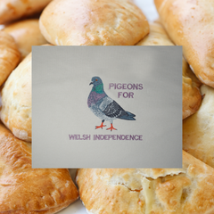 PIGEONS FOR WELSH INDEPENDENCE ORGANIC JUMPER
