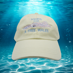 SQUIDS FOR A FREE WALES CAP