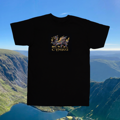 CRYS-T DDRAIG AUR