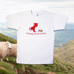 CRYS-T 'CYMREIG NID PRYDEINIG'