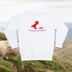 ORGANIG SIWMPER 'CYMREIG NID PRYDEINIG'