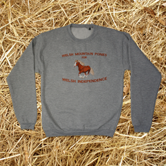 MOUNTAIN PONIES FOR WELSH INDEPENDENCE ORGANIC JUMPER