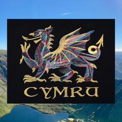 ORGANIG SIWMPER DDRAIG AUR