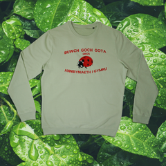 LADYBIRDS FOR WELSH INDEPENDENCE ORGANIC JUMPER