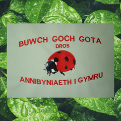 LADYBIRDS FOR WELSH INDEPENDENCE ORGANIC JUMPER