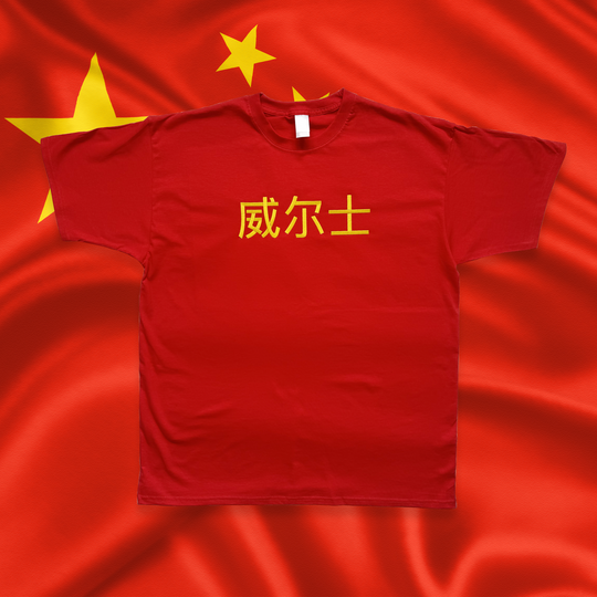'WALES' IN MANDARIN CHINESE T-SHIRT