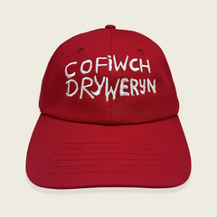 HET COFIWCH DRYWERYN