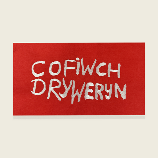 CRYS-T COFIWCH DRYWERYN