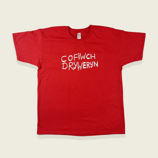 CRYS-T COFIWCH DRYWERYN