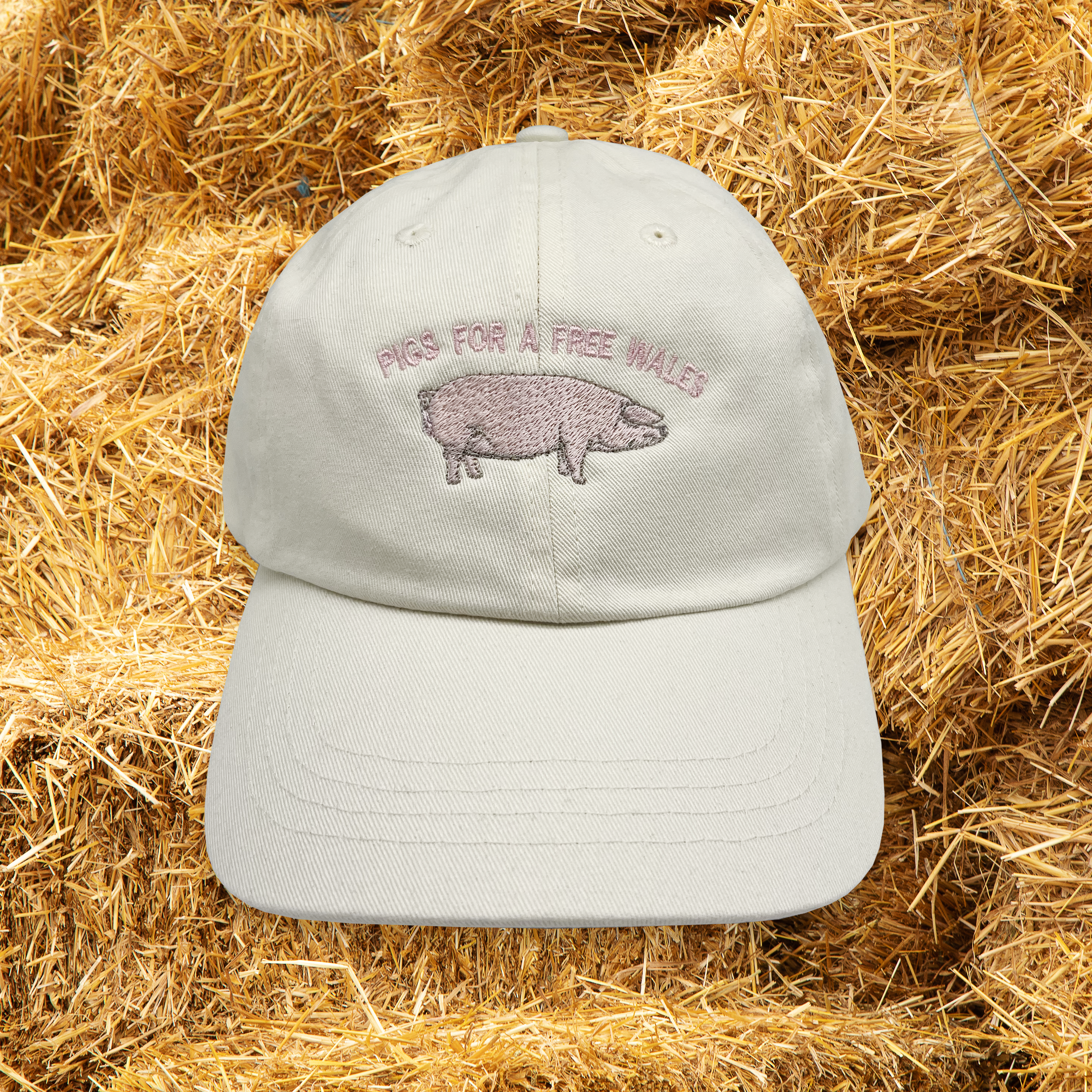 PIGS CAP